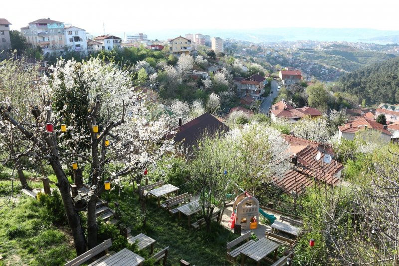 Kavacık Bahçe Görünümü
